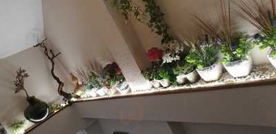 Restaurante Imperial - Photo 8