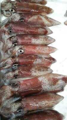 Risco Cantabria Experience