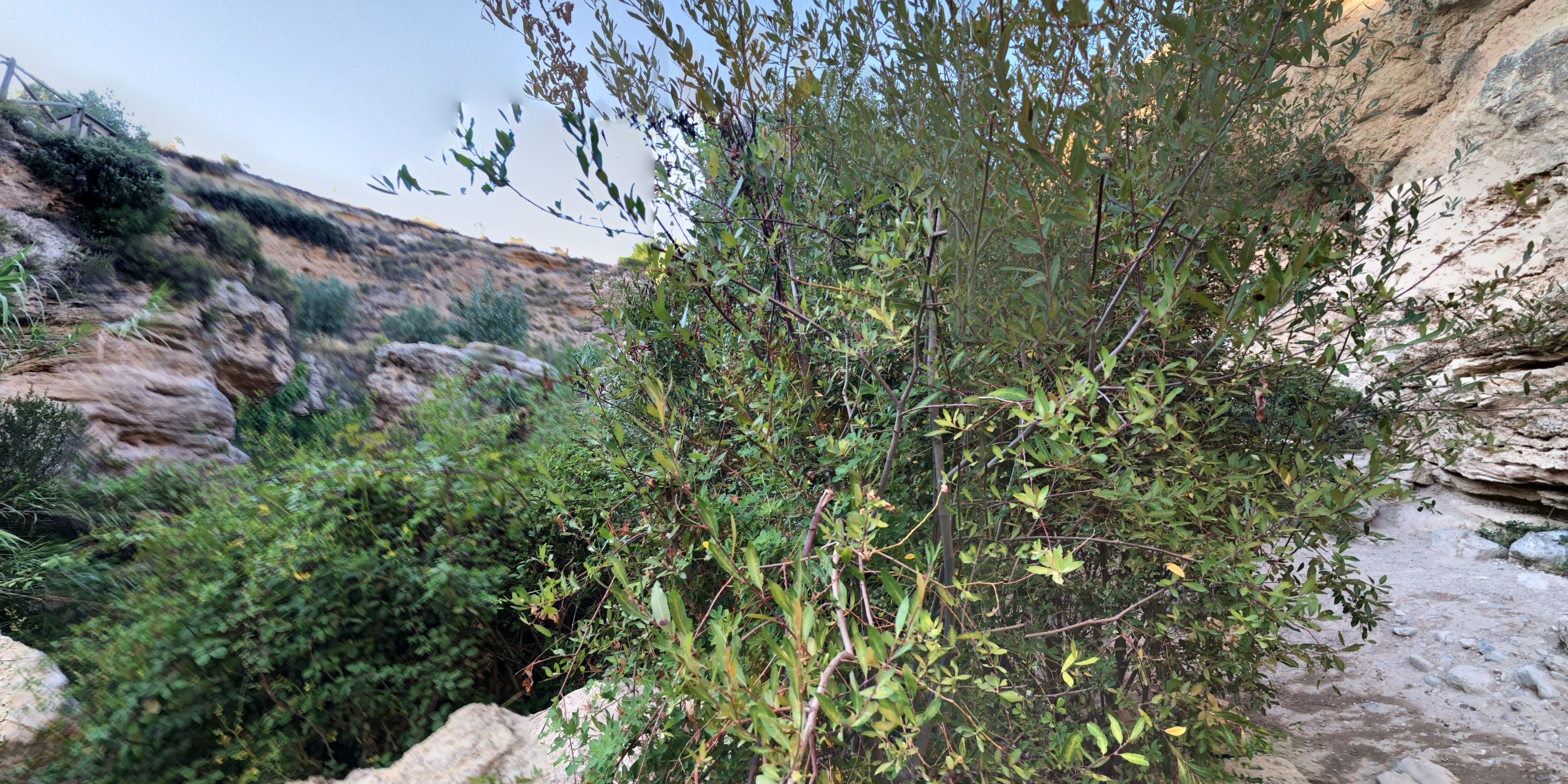 Salto Del Usero