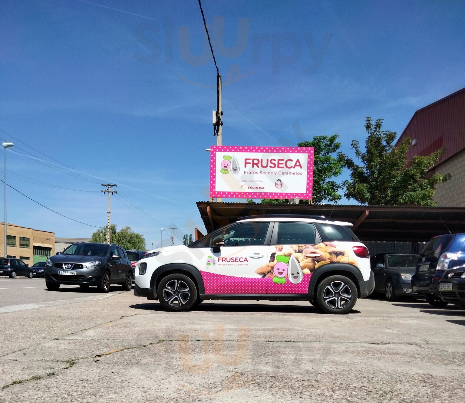 Fruseca