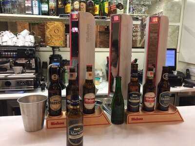 El Oso De Jorge Juan