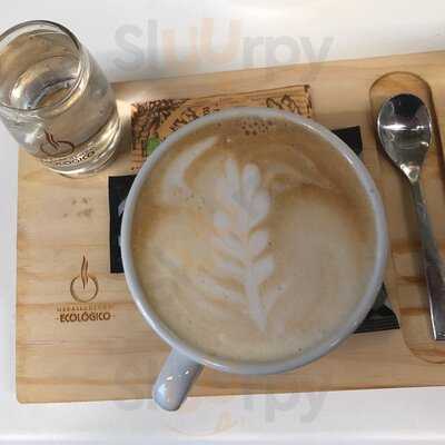 El Oso De Jorge Juan