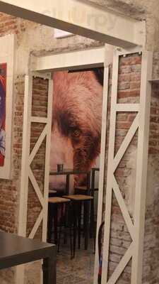 El Oso De Jorge Juan