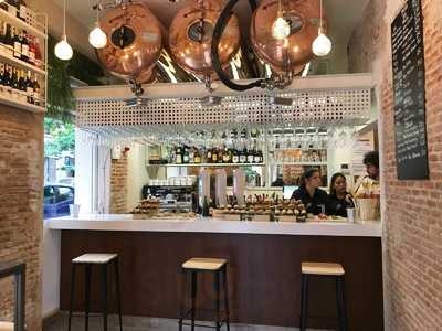 El Oso De Jorge Juan