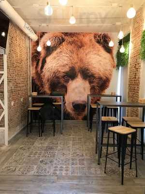 El Oso De Jorge Juan