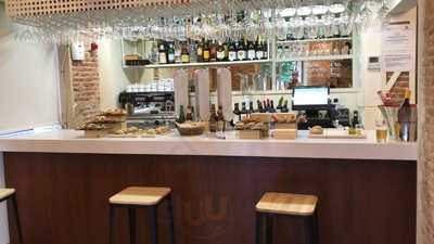 El Oso De Jorge Juan