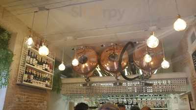 El Oso De Jorge Juan