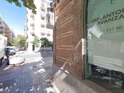 El Oso De Jorge Juan