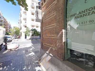 El Oso De Jorge Juan