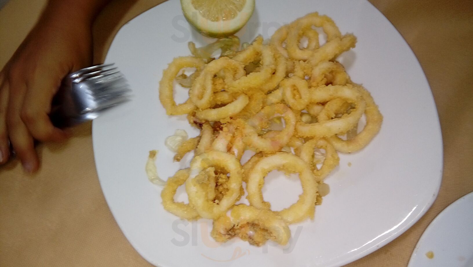 Cerveceria Domi
