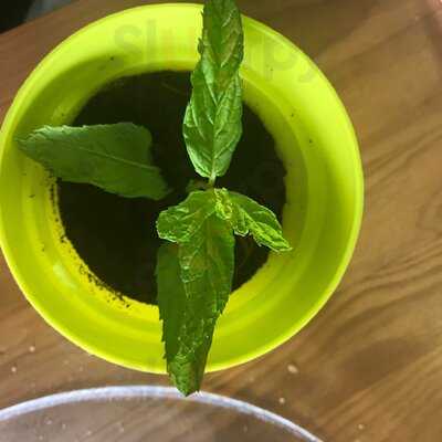 Pandelujo Restaurante