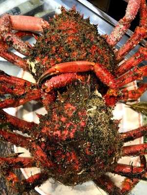 Restaurante De'galicia