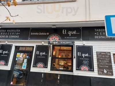 La Gata De Maldonado