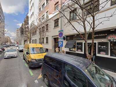 La Gata De Maldonado