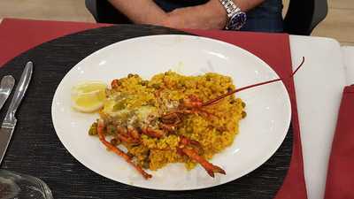 La Gata De Maldonado