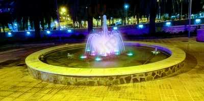 Cafe - Bar Cocina 45