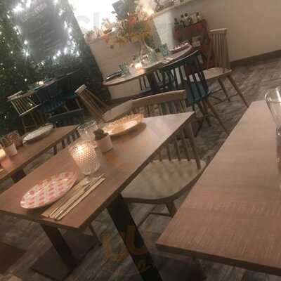 El Gato Y La Almendra