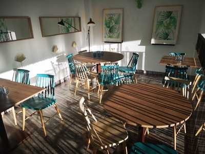 El Gato Y La Almendra