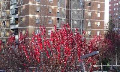 Godello - Mirasierra Suites Hotel