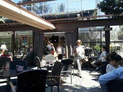 Harvest Company Of Natural Goods