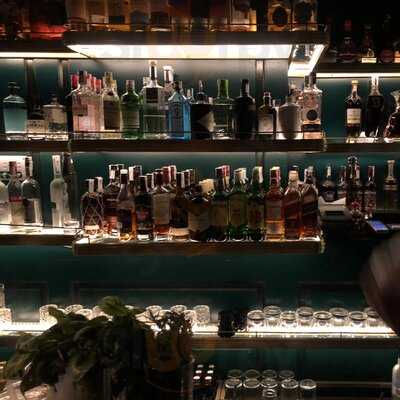 The Jungle Jazz Club By Amazonico