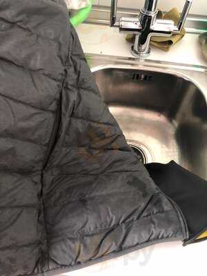 The Jungle Jazz Club By Amazonico