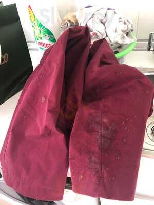 The Jungle Jazz Club By Amazonico