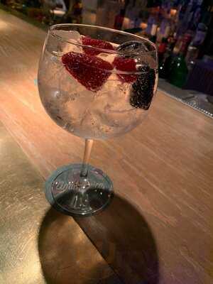 The Jungle Jazz Club By Amazonico