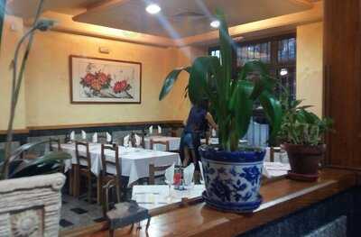 El Rey De Los Tallarines