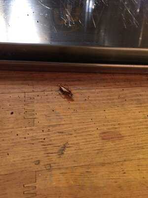 Mercado De La Ribera