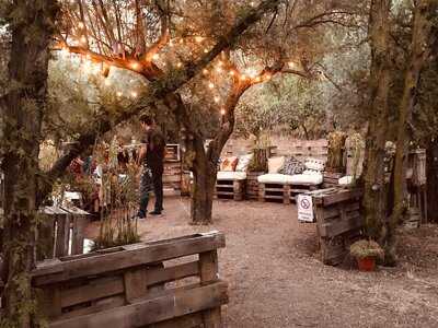 El Olivar De Castillejo