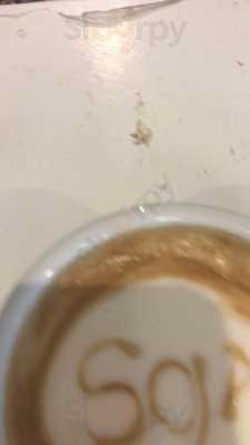 Black And Gold Irish Tavern