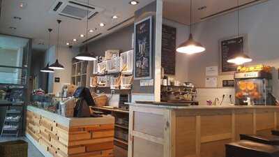 Panaria Capitán Haya