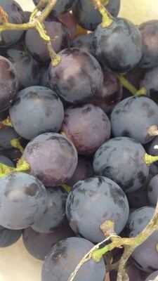 Restaurante Vinoteca Camariñas