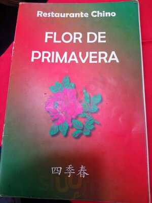 Flor De Primavera