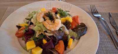 La Pecera Del Circulo