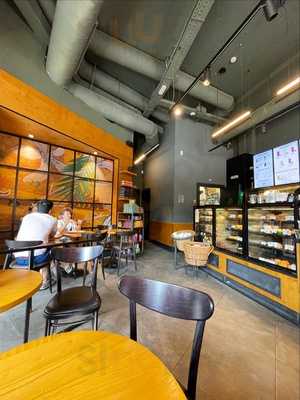 Starbucks Quevedo