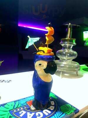 Hibou Shishas & Cocktails