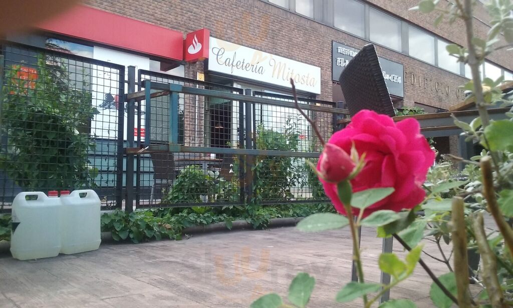 Cafeteria Mitosa