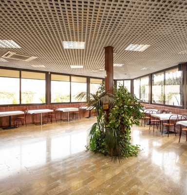 Zoquito Campo De Las Naciones