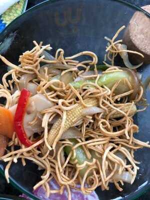 Pato Laqueado De Pekin