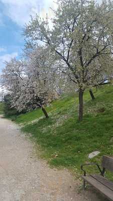 Cervecería Candilejas Sur