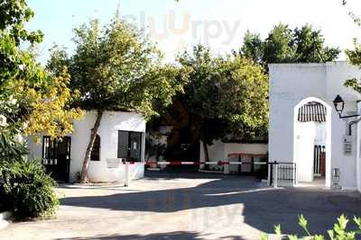 El Camping Tiki Lounge