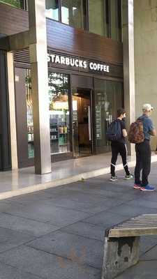 Starbucks Velazquez