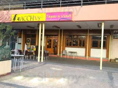 Bacchvs Tapas Y Vinos