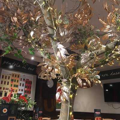 O Mamma Mia Mendez Alvaro