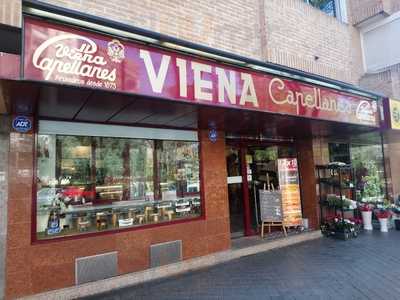 Viena Capellanes