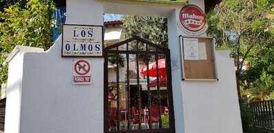 Los Olmos