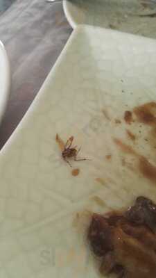 Restaurante Asiatico Xing