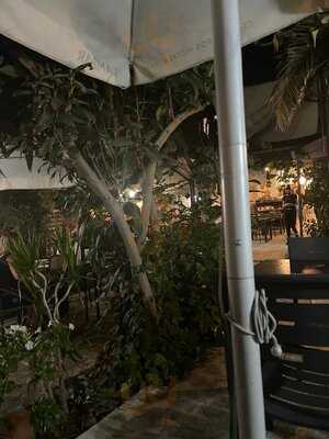 El Jardin De La Lola